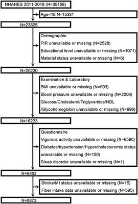 Association of Dietary Fiber Intake With Myocardial Infarction and Stroke Events in US Adults: A Cross-Sectional Study of NHANES 2011–2018